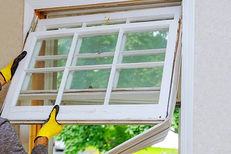 Window Replacement in Fleming Island, FL